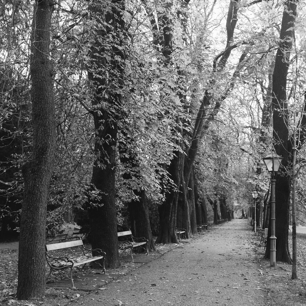 Herbst im Stadtpark