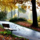 Herbst im Stadtpark-3-(24.11.2022)