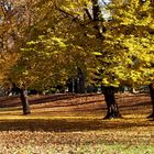 Herbst im Stadtpark - 3