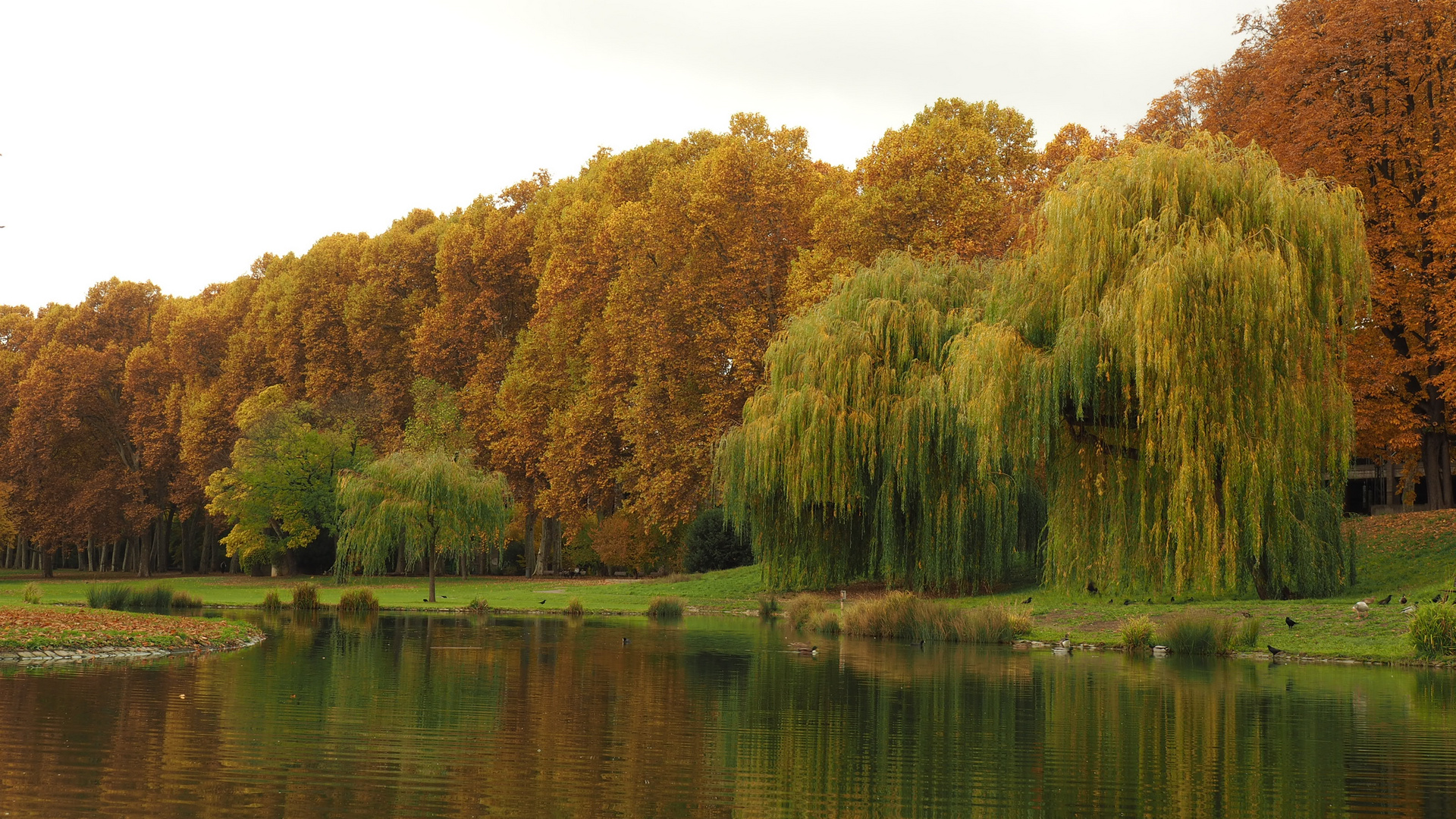 Herbst im Stadtpark