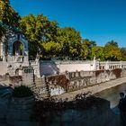 Herbst im Stadtpark (4)