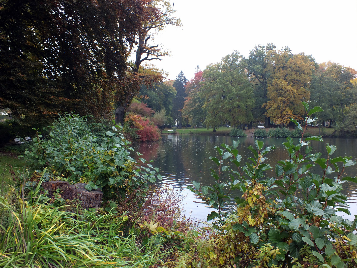 Herbst im Stadtpark