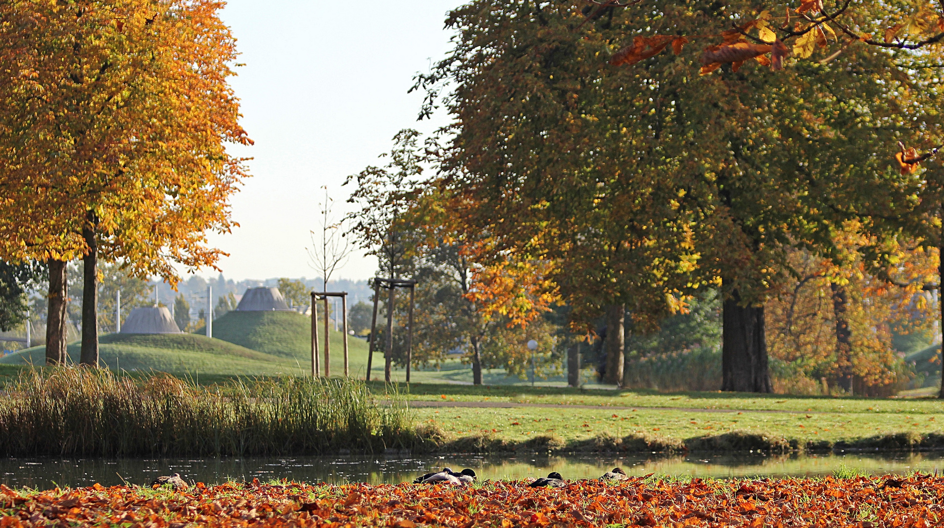 Herbst im Stadtpark 