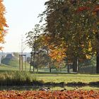 Herbst im Stadtpark 