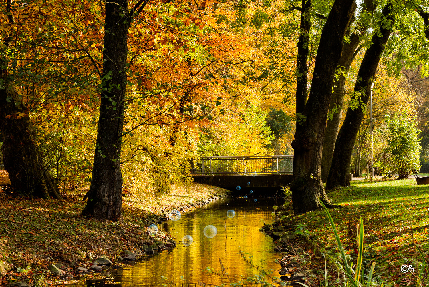 Herbst im Stadtpark