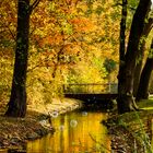 Herbst im Stadtpark