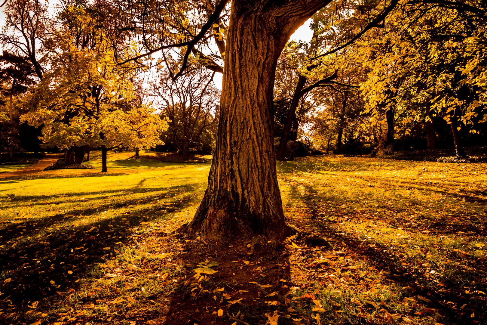 Herbst im Stadtpark