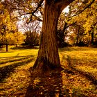 Herbst im Stadtpark