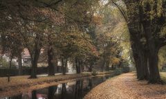 Herbst im Stadtpark