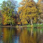 Herbst im Stadtpark