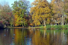 Herbst im Stadtpark