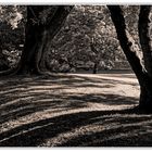 Herbst im Stadtpark 