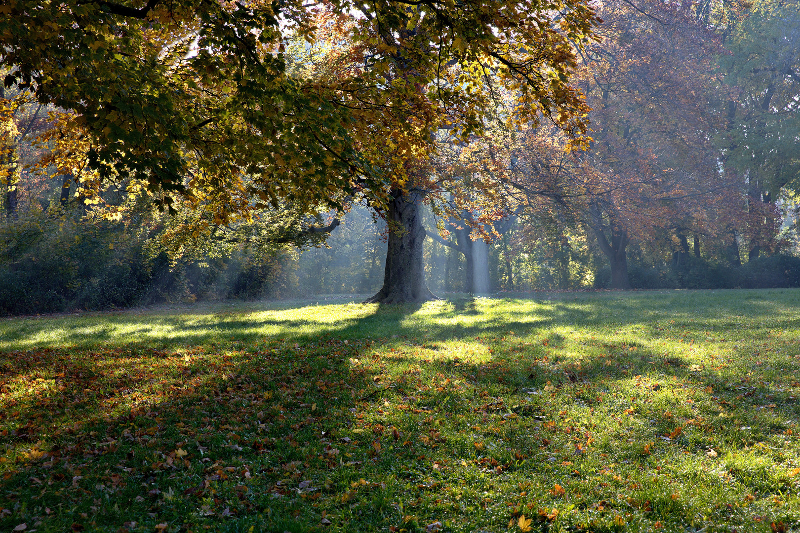 Herbst im Stadtpark