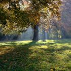 Herbst im Stadtpark