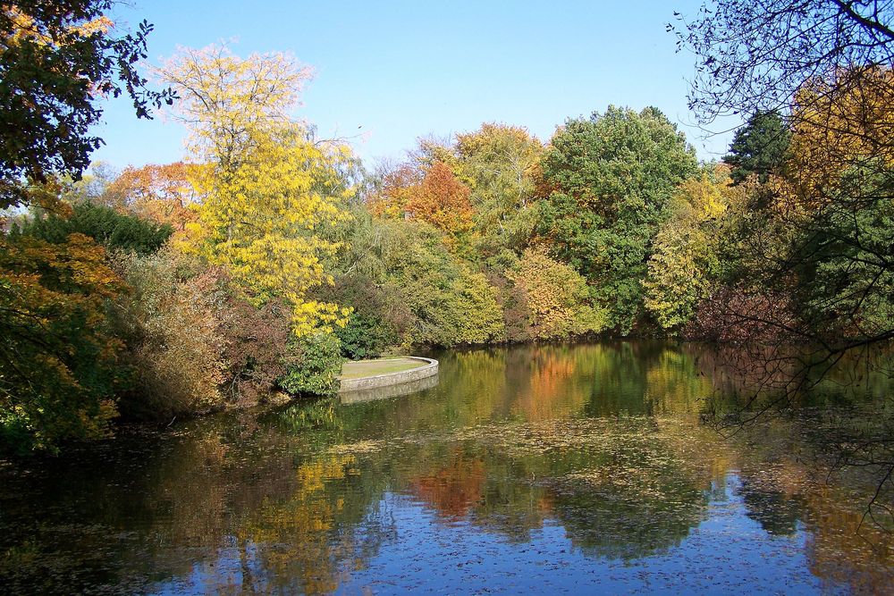 Herbst im Stadtpark