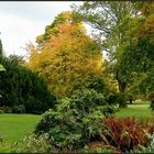 Herbst im Stadtpark...