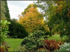 Herbst im Stadtpark...