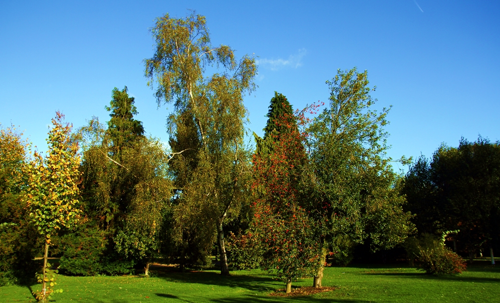 herbst im stadtpark goch