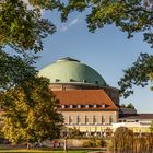 Herbst im Stadtpark Hannover I