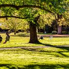 Herbst im Stadtpark Hannover II