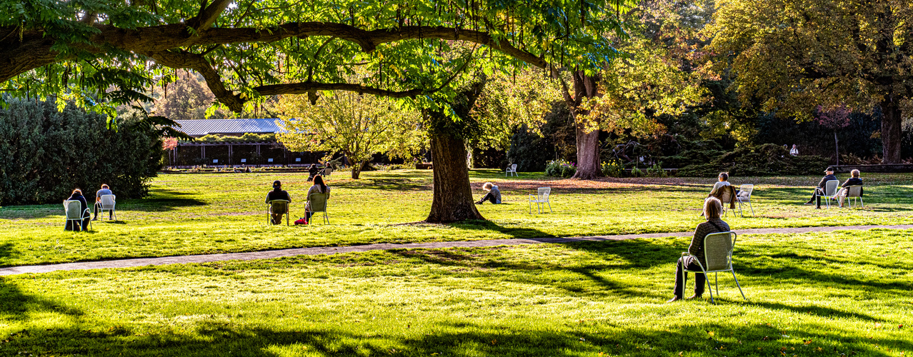 Herbst im Stadtpark Hannover II