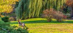 Herbst im Stadtpark Hannover V