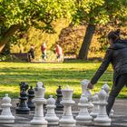 Herbst im Stadtpark Hannover X