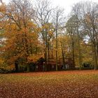Herbst im Stadtpark | Lehrte