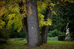 Herbst im Stadtpark | Mainz