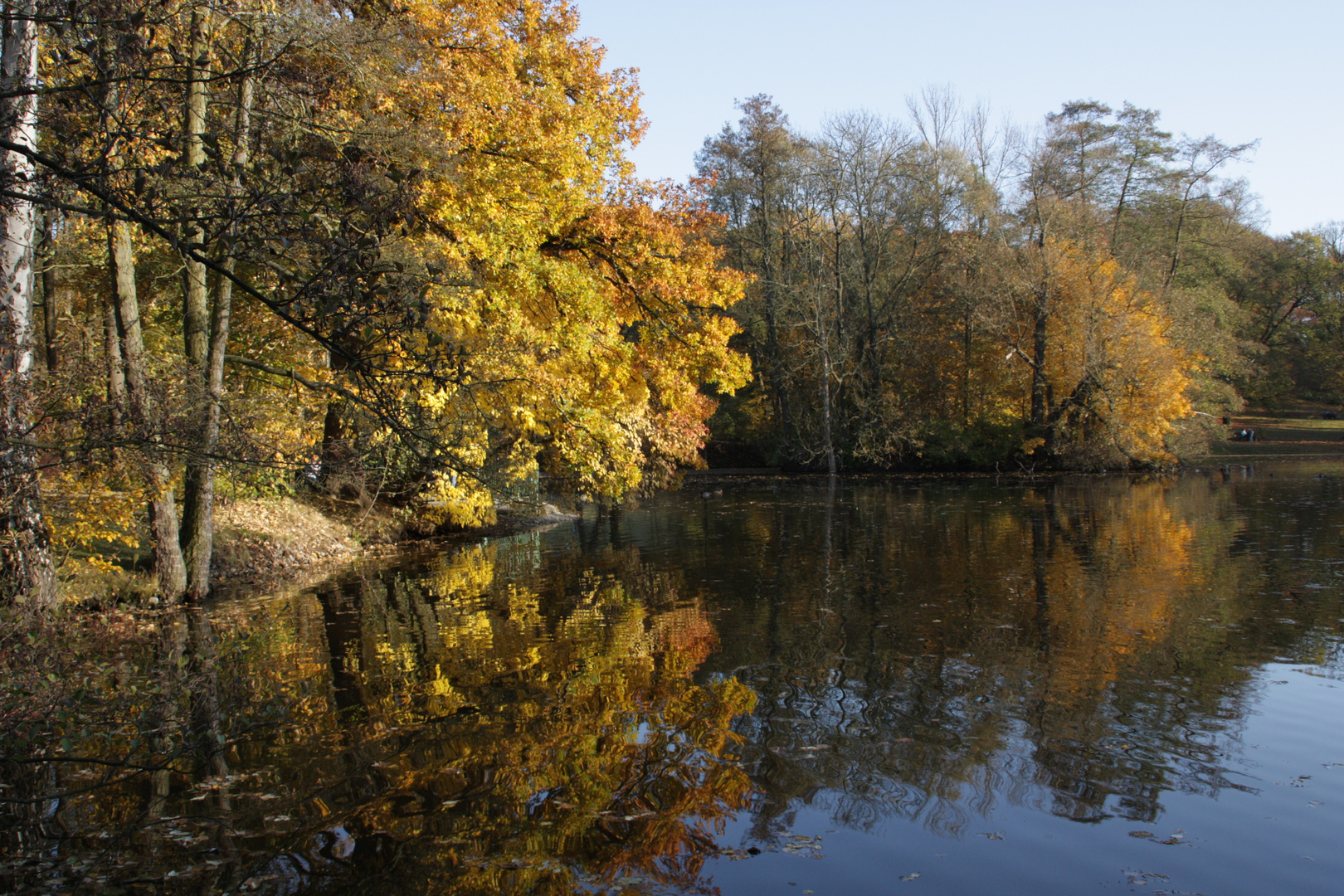 Herbst im Stadtpark Plauen