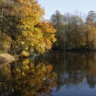 Herbst im Stadtpark Plauen