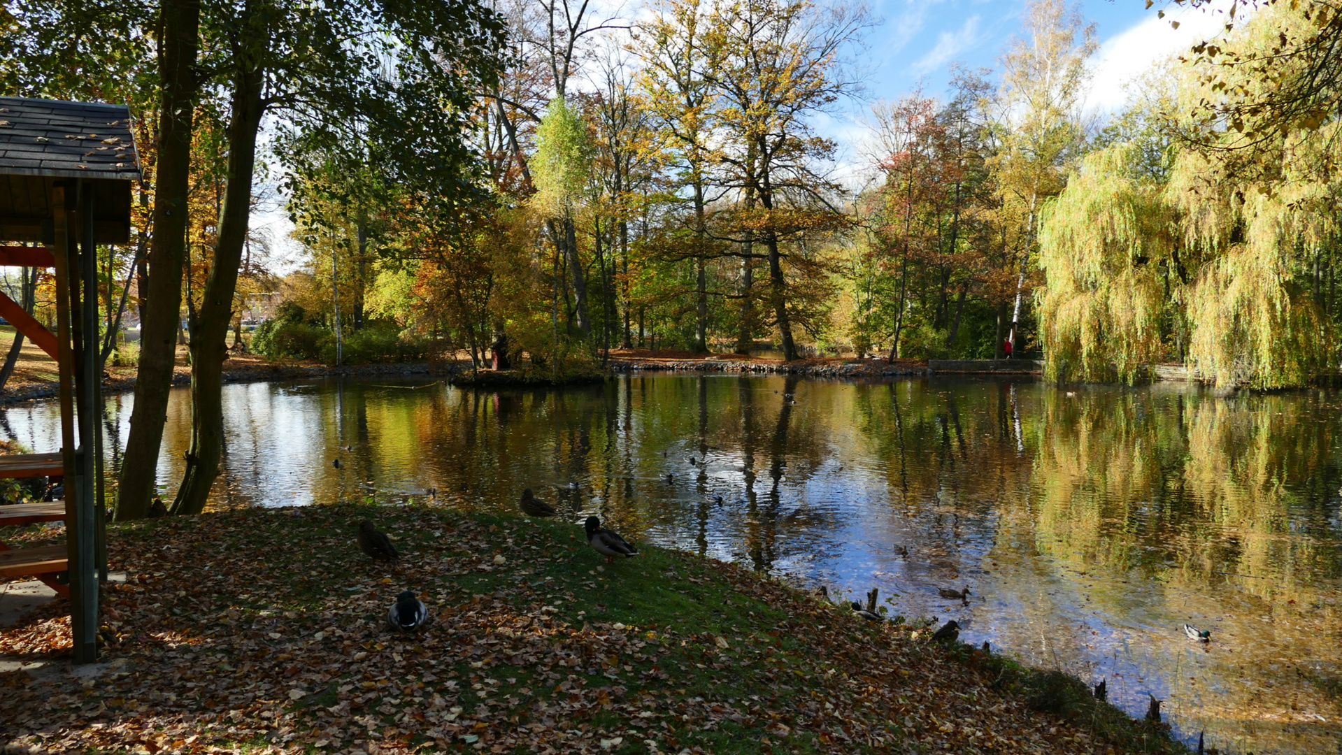 Herbst im Stadtpark Reichenbach