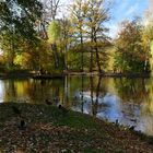 Herbst im Stadtpark Reichenbach