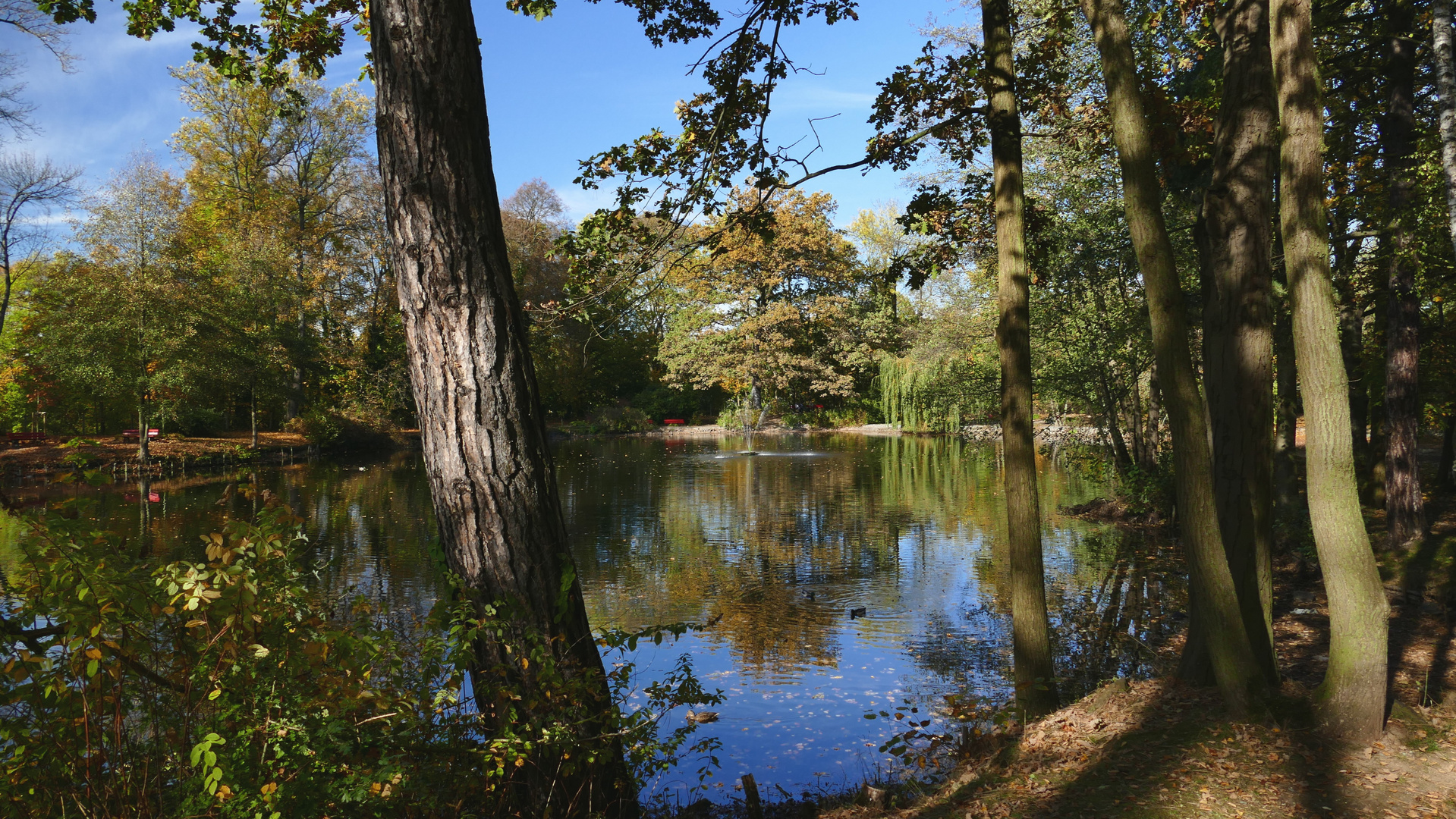 Herbst im Stadtpark von Reichenbach