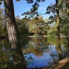 Herbst im Stadtpark von Reichenbach