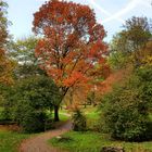 Herbst im Stadtpark von Schwäb. Hall