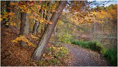 Herbst im Stadtwald