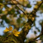 Herbst im Stadtwald