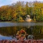 Herbst im Stadtwald