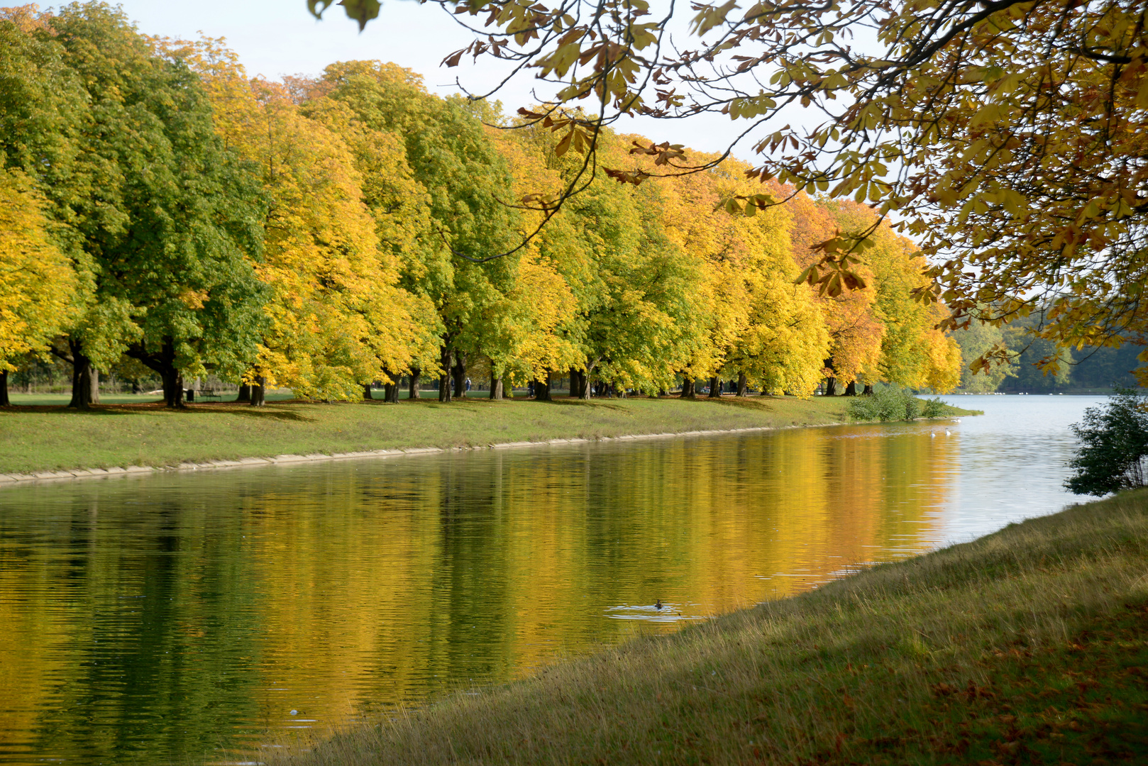 Herbst im Stadtwald Köln