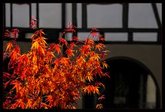 Herbst im Städtle