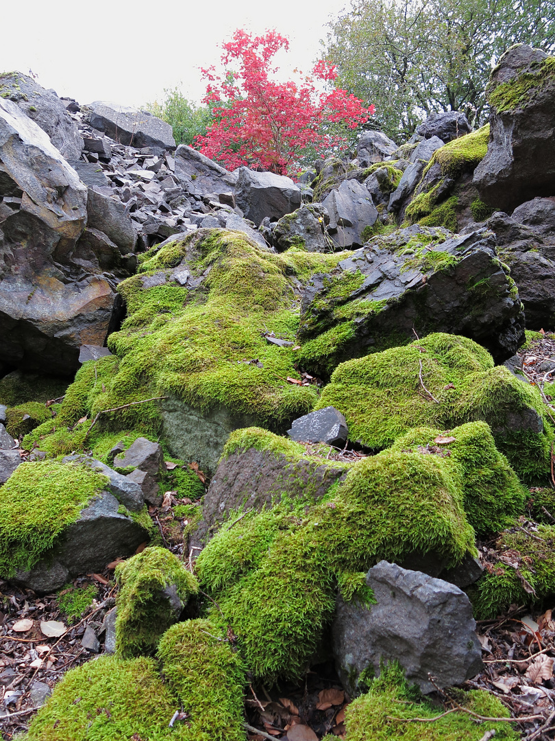 Herbst im Steinbruch