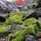 Herbst im Steinbruch