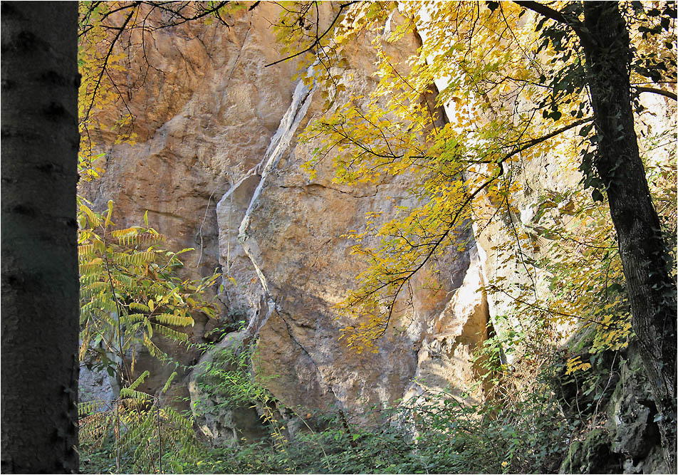 Herbst im Steinbruch