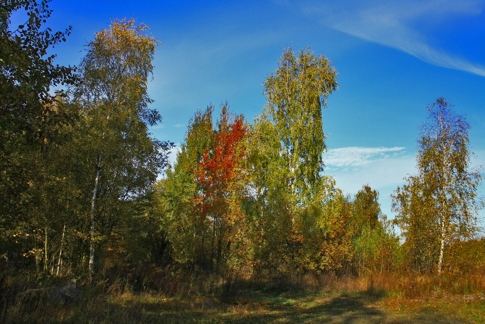 herbst im steinbruch 4