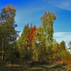 herbst im steinbruch 4