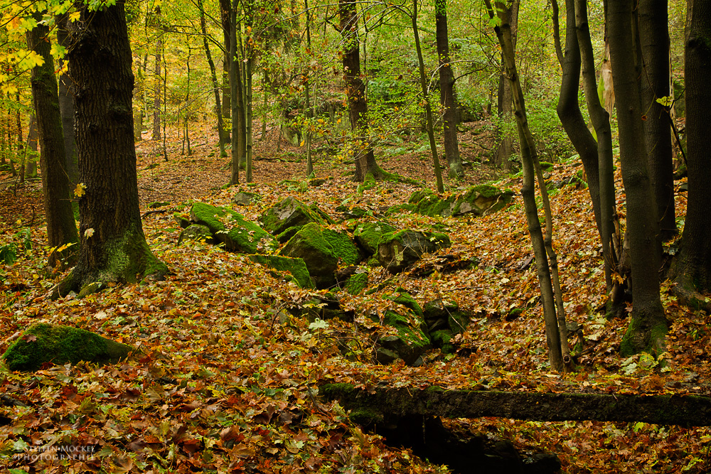 Herbst im Steinicht 2