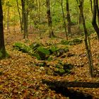 Herbst im Steinicht 2