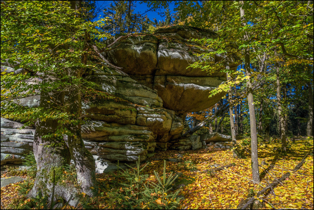 Herbst im Steinwald