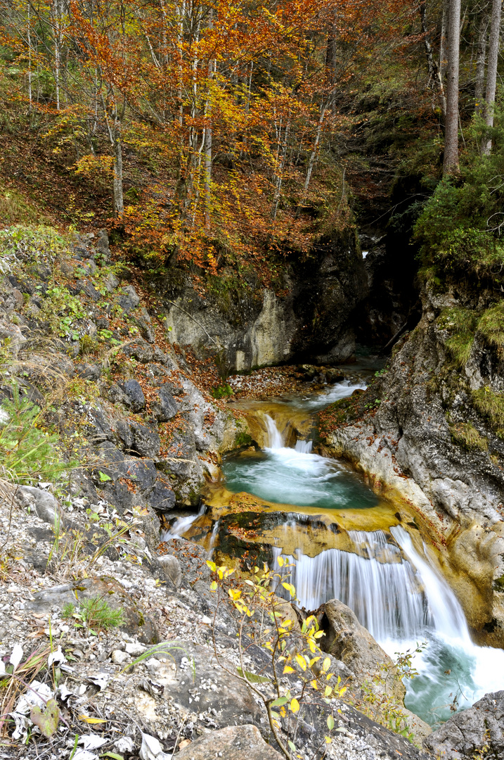 Herbst im Stoissengraben